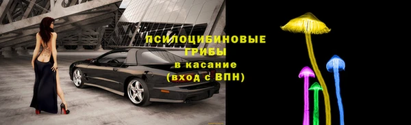 амф Магадан